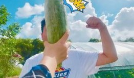 网红吃瓜跳舞最新版下载,潮流热舞，一网打尽！