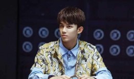 吴磊娱乐大爆料在线观看,揭秘明星幕后故事