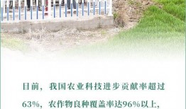 今日农村爆料新闻网最新,聚焦乡村振兴，探寻农业发展新路径